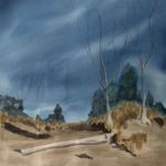 Patricia Beecham – Driftwood and Dunes